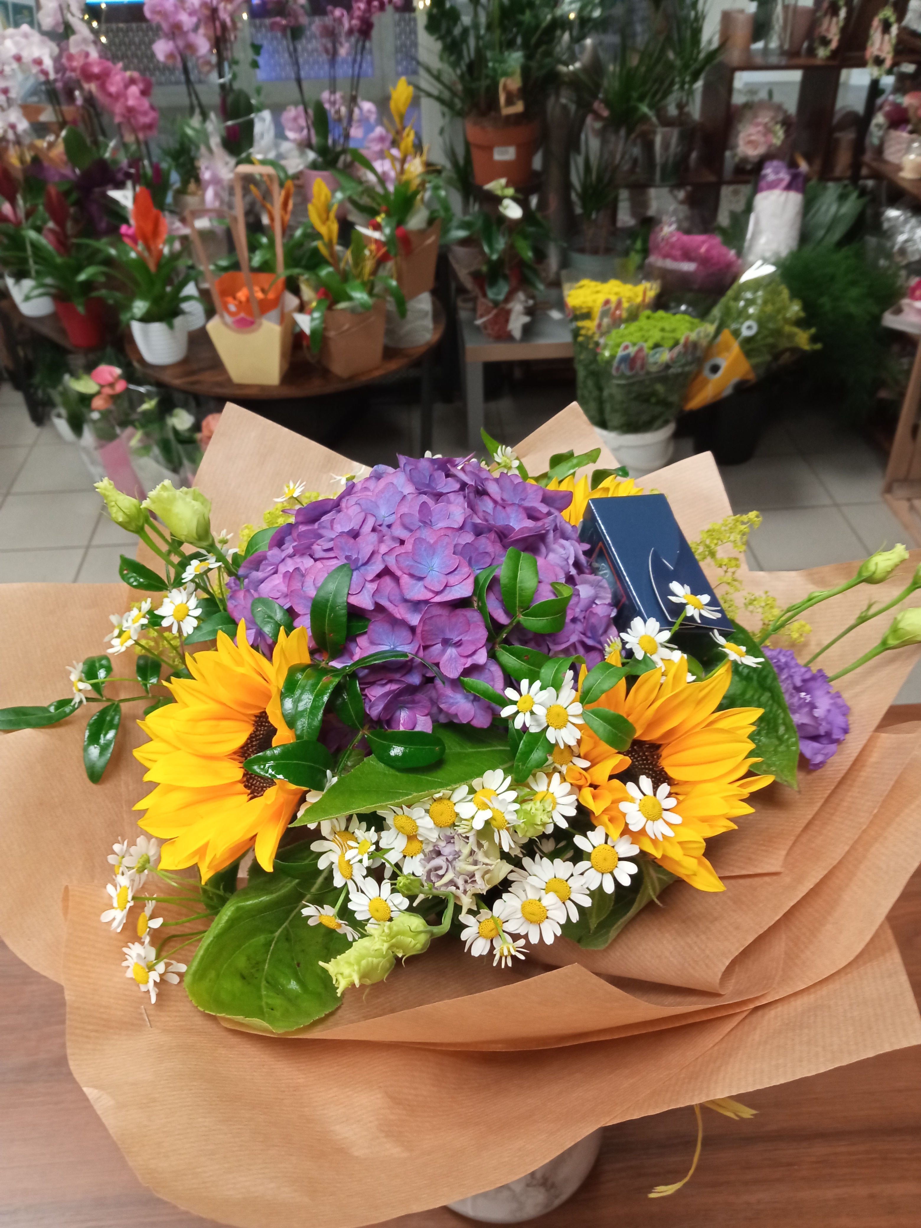image (13)