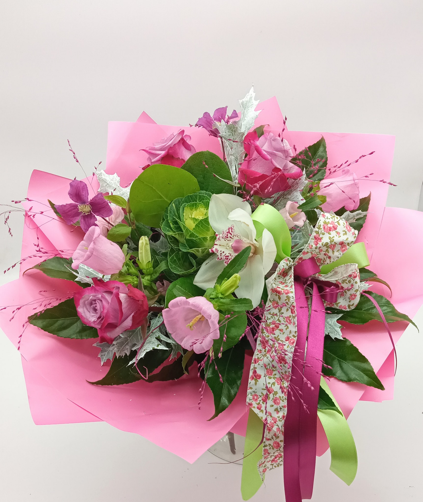 556958426_1342678274286792_8332123093957530717_n